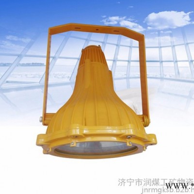 ZAD913JY-250/220矿用隔爆型LED投光灯