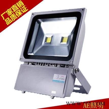 AEAE-TGD-02户外广告射灯,室外投光灯,户外射LED投光灯20W/30W/50W/100W/户外广告射灯100W图3