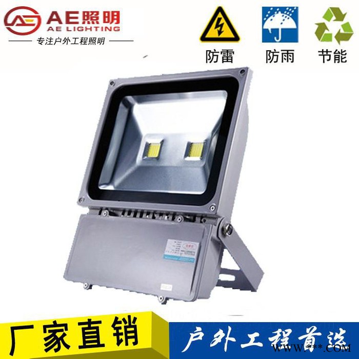 AEAE-TGD-02户外广告射灯,室外投光灯,户外射LED投光灯20W/30W/50W/100W/户外广告射灯100W图2