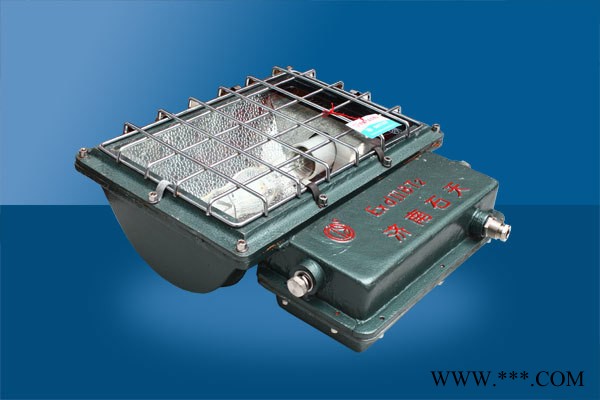 济南石天 防爆金卤一体化投光灯 400w 220v图2