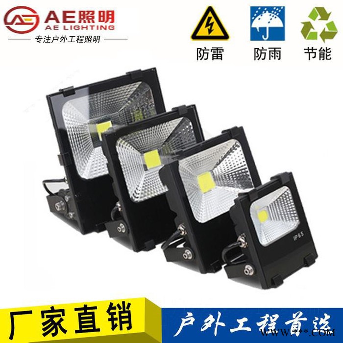 AE照明LED投光灯10w20w30Ｗ50W100W瓦P65户外防水图4