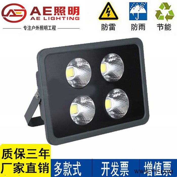 AE照明led泛光灯200W投光灯大功率led广告灯蓝球场足球场照明图2