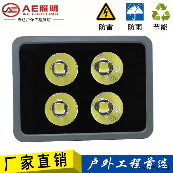 AE照明led泛光灯200W投光灯大功率led广告灯蓝球场足球场照明图3