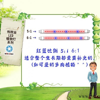 伟照业LED一体化植物灯管120CM多肉蔬果大栅室内专用植物助长灯管T8植物生长日光灯管14W