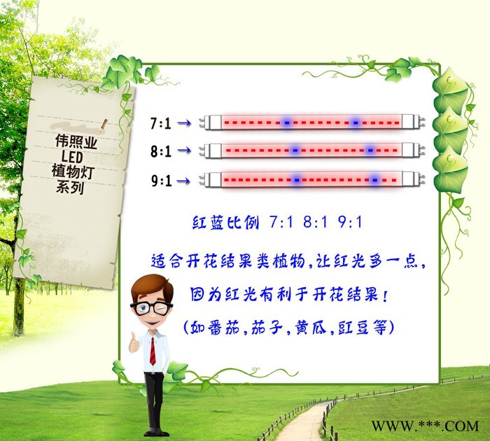 伟照业LED一体化植物灯管120CM多肉蔬果大栅室内专用植物助长灯管T8植物生长日光灯管14W图2