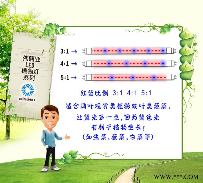 伟照业LED一体化植物灯管120CM多肉蔬果大栅室内专用植物助长灯管T8植物生长日光灯管14W图8