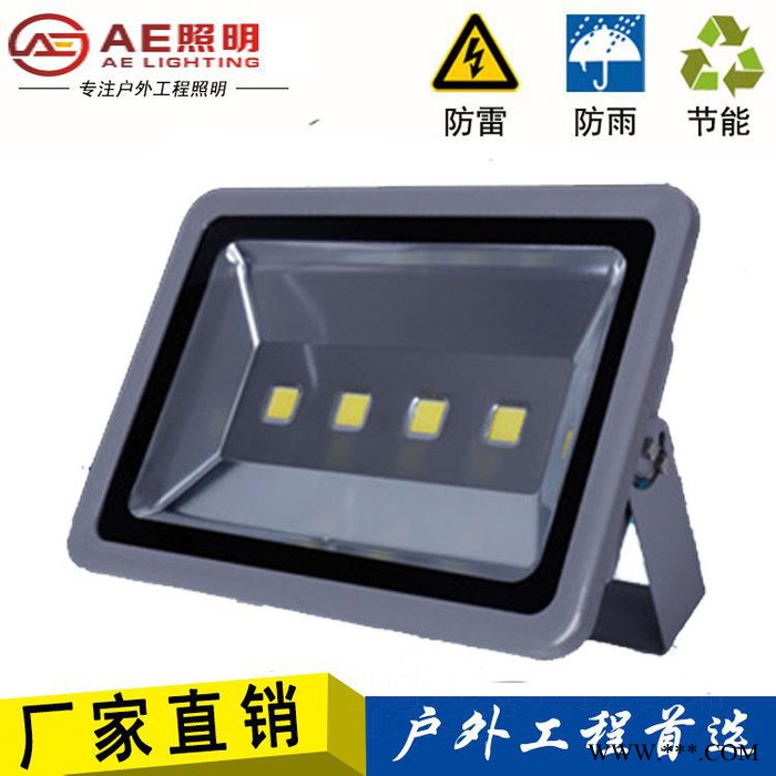 AE照明AE-TG-01室外照明灯,户外泛光灯led投光灯投射灯户外30w50w100w150W泛光灯工矿灯室外照明灯防图2
