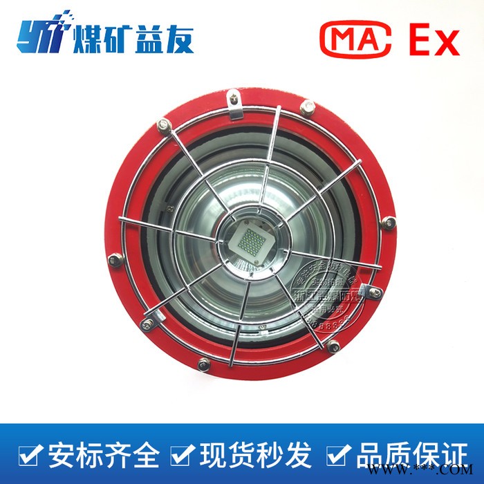 源市批发矿用防爆灯DGS60/127L(A)矿用隔爆型LED投光灯图2