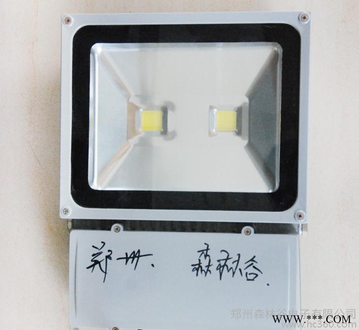 投光灯  正白/暖白光投光灯  LED 泛光灯30w图1