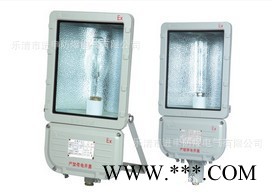 BFd96防爆泛光灯 方形防爆泛光灯 BFD96图3