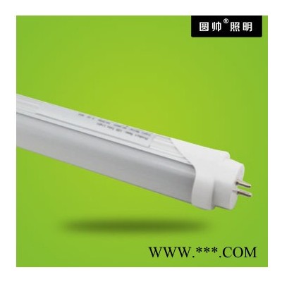 T8-60CM-8W灯管