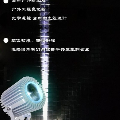 LED投光灯，10W户外聚光照明景观投光灯，光束聚光LED投光灯，亮化聚光灯