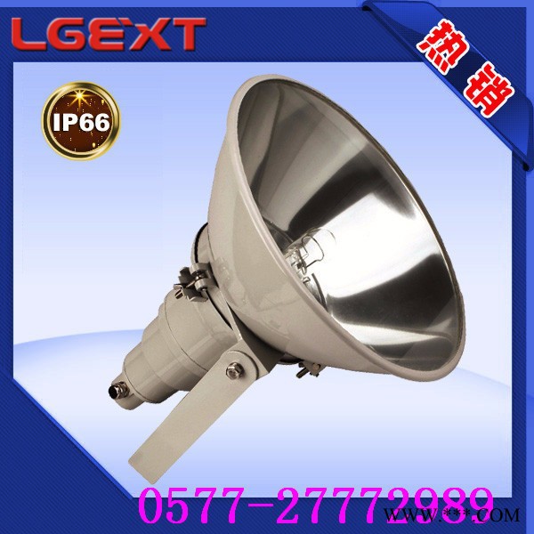 ZT6900防水防尘防震投光灯|防水防尘投光灯  ** 证书齐全  规格齐全图1