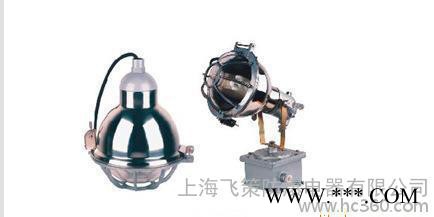 钢化玻璃,防爆投光灯,照明投光灯,为钢化玻璃,防腐投光灯,厂家直宵图2