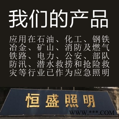 NFC9210防震型投光灯 恒盛照明 供货 投光灯|泛光灯图3