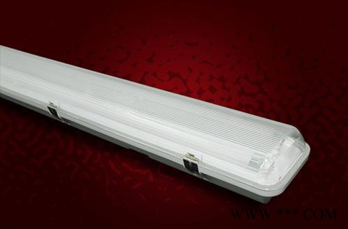T5LED灯管三防灯支架2X28W 专业销售图2
