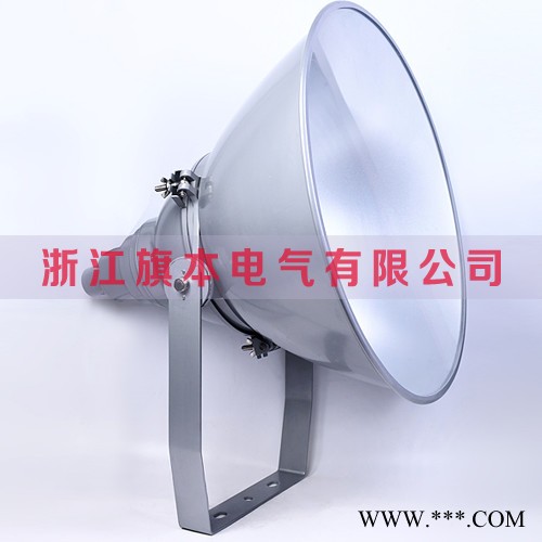 SW7500 防振投光灯,250W抗震投光灯,400W高效投光灯图1