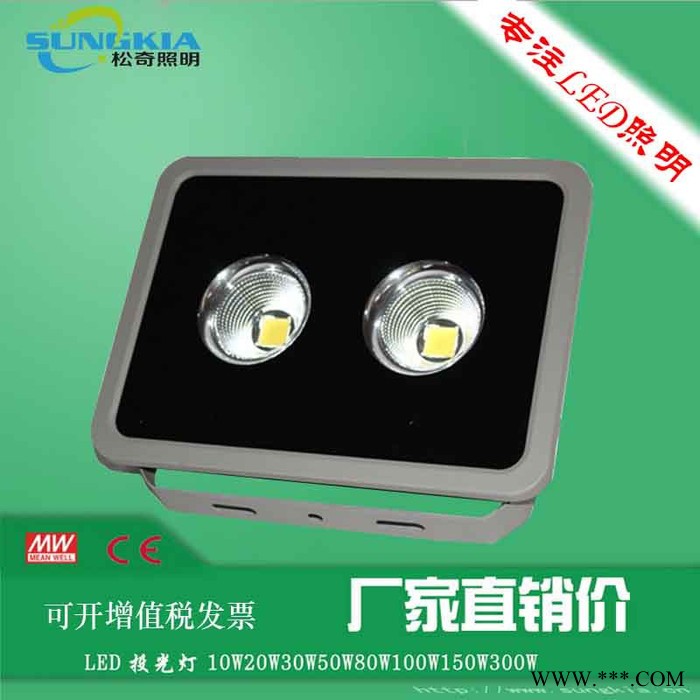 长久供应SungKia球场灯/户外照明高光效投光灯TG-F12-200W 投光灯图5