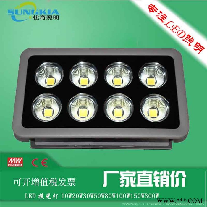 长久供应SungKia球场灯/户外照明高光效投光灯TG-F12-200W 投光灯图2