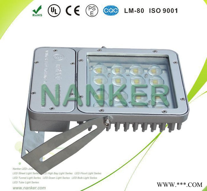 高品质40W 户外照明LED泛光灯 投光灯 投射灯图3
