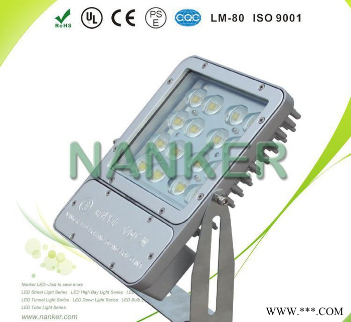 高品质40W 户外照明LED泛光灯 投光灯 投射灯图2