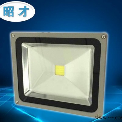 2014新品** 户外LED卤素泛50W光灯 特价集成led泛光灯 工程装修专用LED泛光灯