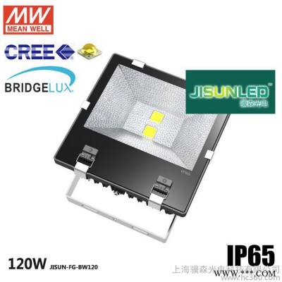**批发led投光灯 led泛光灯120W大功率集成户外照明广告投射灯 LED投光灯