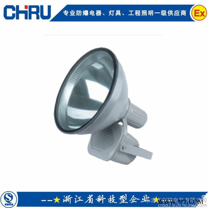 CRZT6900防水防尘投光灯|防震型投光灯|矿用隔爆型投光灯|防震投光灯图4