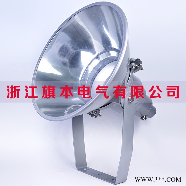 GT102 投光灯,投射灯,三防投光灯,防震投光灯图1