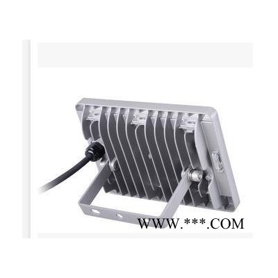 飞利浦LED投光灯泛光灯投光灯广告灯BVP161工厂户外射灯30W