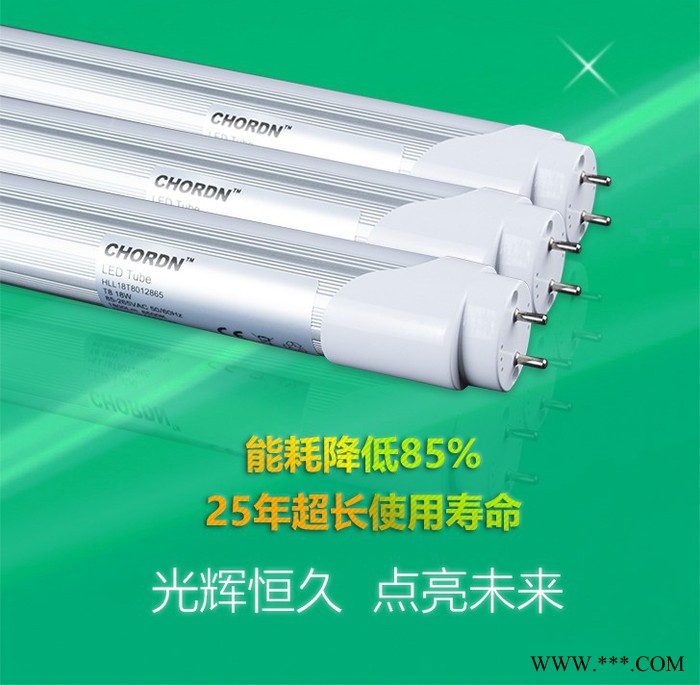 CHORDN T8灯管 亮度可调 超亮节能