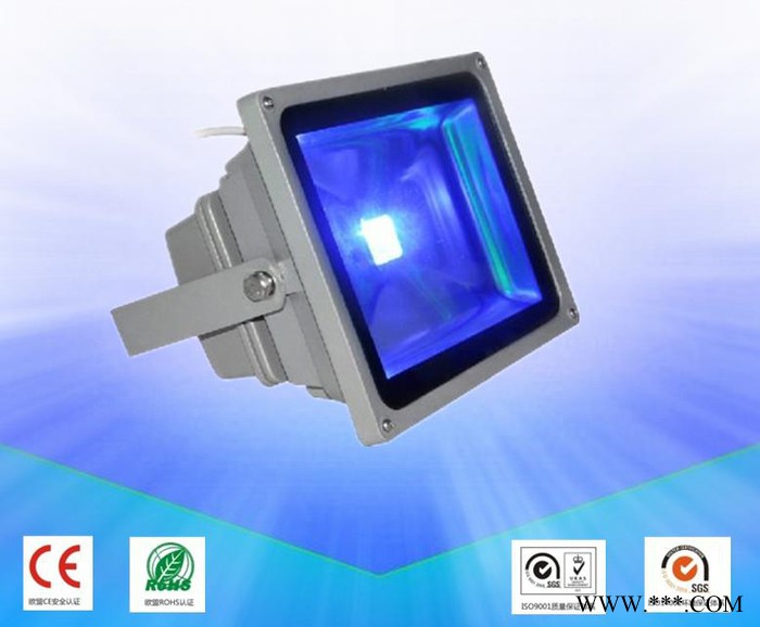 供应LED泛光灯 LED投射灯 LED投光灯集成光源大功率30W泛光灯图3