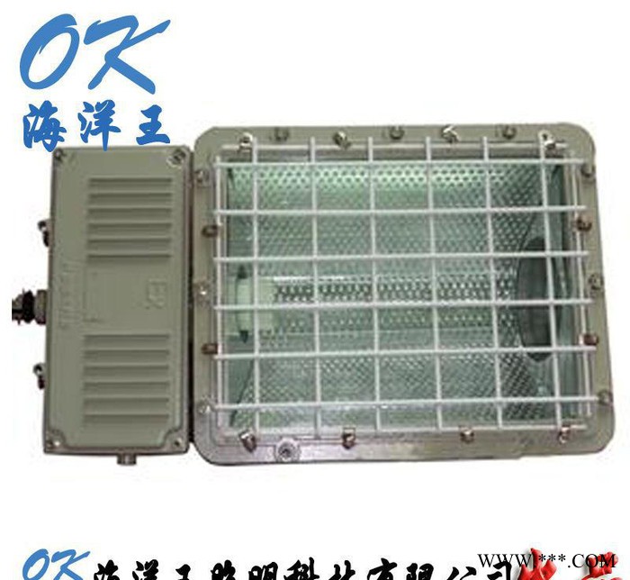 华荣BAD5031防爆泛光灯图1