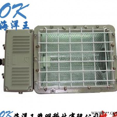 华荣BAD5031防爆泛光灯