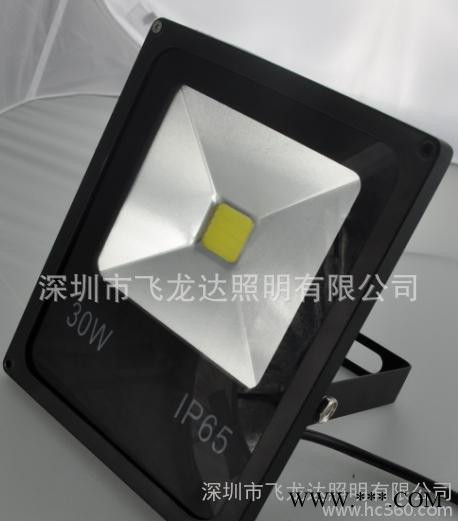 LED集成30W投光灯 户外30WLED泛光灯 外贸商出图3