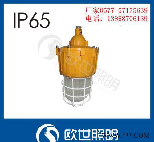 BFC8130-J防爆内场强光灯 海洋王防爆泛光灯全国直销