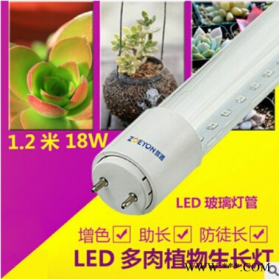 希尔光YM-T5YG-L12 红外灯管 植物生长灯管