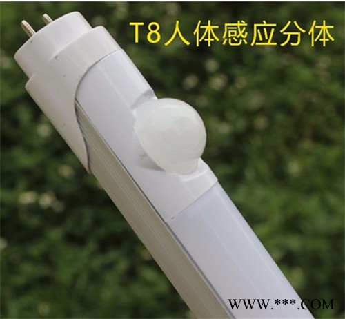 袁氏LED日光管 16W高亮度LED灯管 T8-T5 LED日光灯 高扩散罩LED 灯管 质保三年图2