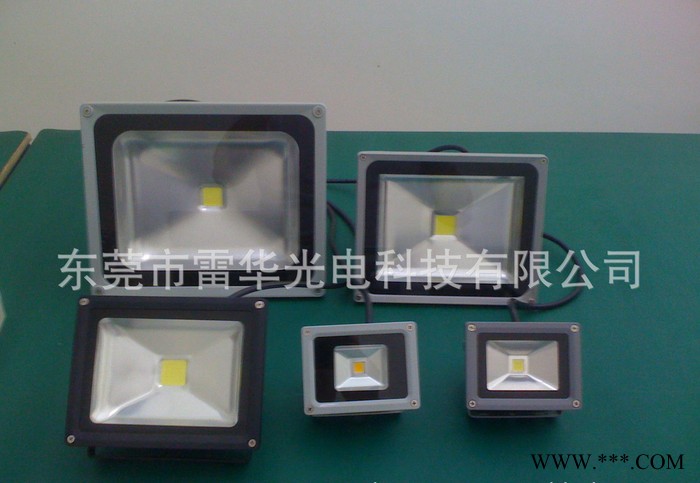 50W投光灯 LED投光灯 泛光灯 广告灯 道路灯 直销图2