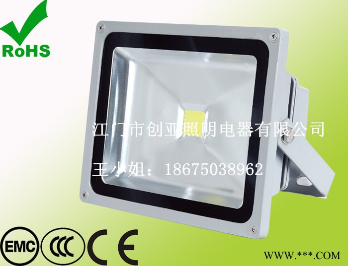 供应LED投光灯，100W投光灯，50W/30W/70W投光灯图2