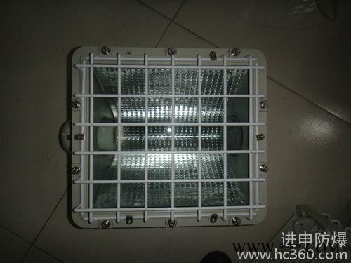 供应进申BTd52防爆泛光灯，一体式泛光灯厂家，天津泛光灯价格图1