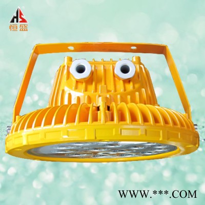 LED防爆泛光灯恒盛灯具效率＞92图2