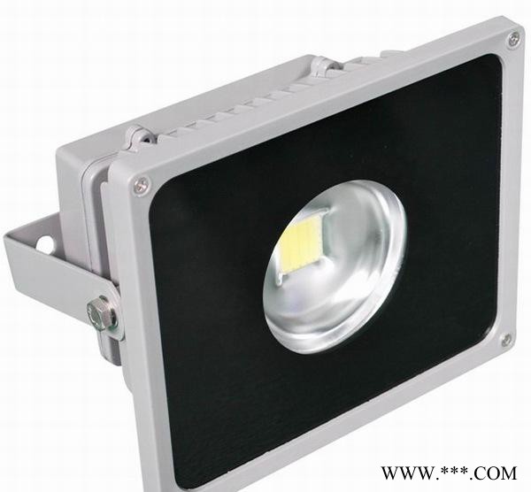 30W LED投光灯聚光灯 大量工程专用投光灯：图2