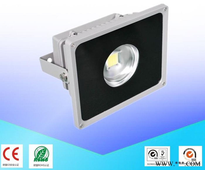 供应集成大功率LED泛光灯  LED聚光灯 LED投光灯 LED泛光灯20W图1