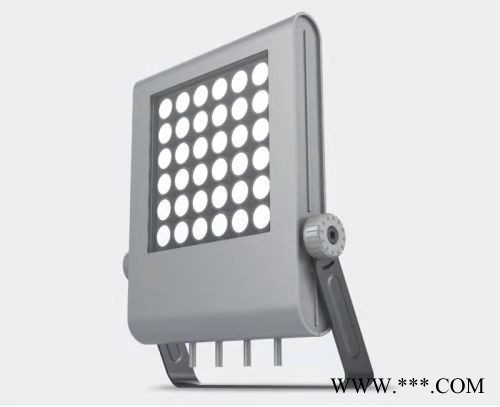 硕日 SR-TYN-TGD-101  LED投光灯 投光灯  LED灯