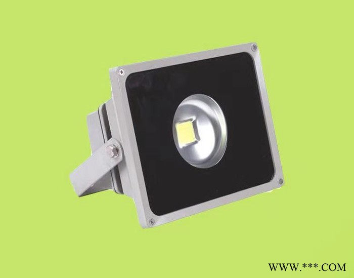 硕日 SR-TYN-TGD-101  LED投光灯 投光灯  LED灯图5