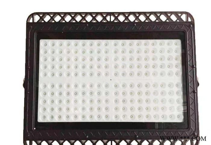 硕日 SR-TYN-TGD-101  LED投光灯 投光灯  LED灯图2