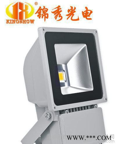 可定制集成led投光灯 遥控led投光灯JX-TG100W-图3