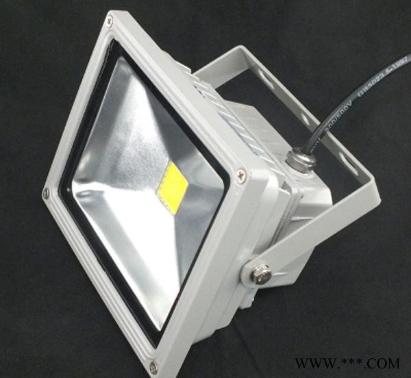20W照树灯20W投光灯 LED泛光灯 工程专用投光灯图1
