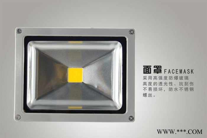 20W照树灯20W投光灯 LED泛光灯 工程专用投光灯图2